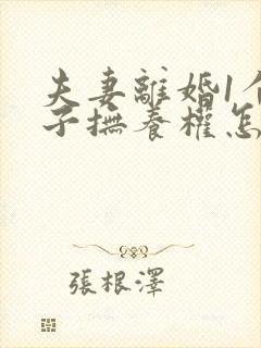 夫妻离婚1个孩子抚养权怎么判定