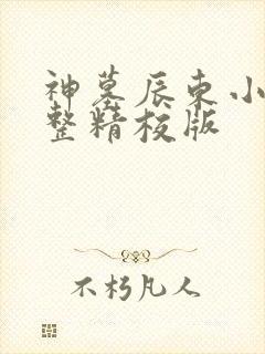神墓辰东小说完整精校版