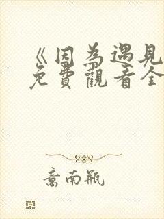 《因为遇见你》免费观看全集
