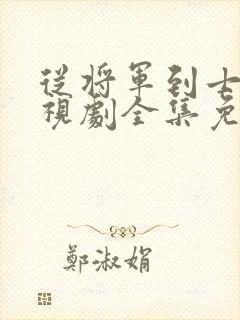 从将军到士兵电视剧全集免费观看