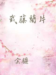 武藤兰片