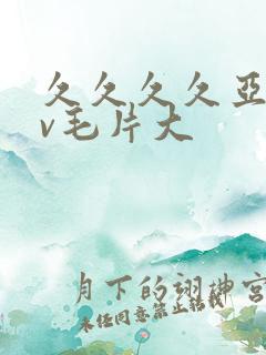 久久久久亚洲av毛片大