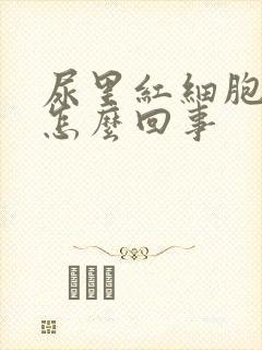 尿里红细胞多是怎么回事