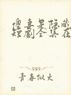 傻妻是隐藏大佬短剧全集在线观看