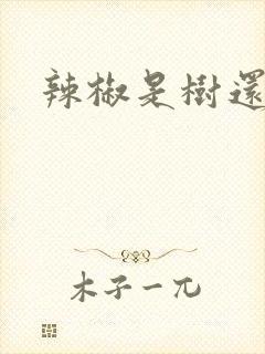 辣椒是树还是草