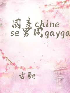 国产chinese男同gaygay网站