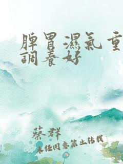 脾胃湿气重怎样调养好