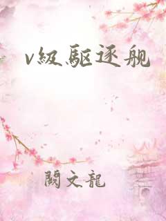 v级驱逐舰