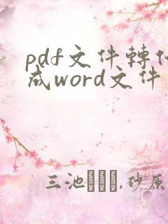 pdf文件转化成word文件