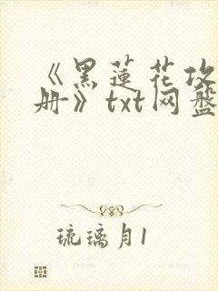 《黑莲花攻略手册》txt网盘