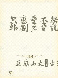 只恋爱不结婚 韩剧免费观看