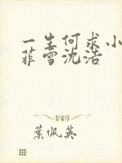 一生何求小说秦菲雪沈浩