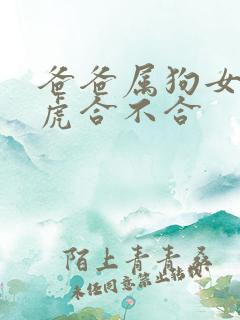 爸爸属狗女儿属虎合不合