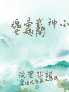 魂帝武神小小八笔趣阁