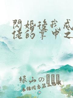 闪婚后我成了大佬的掌中之物电视连续剧
