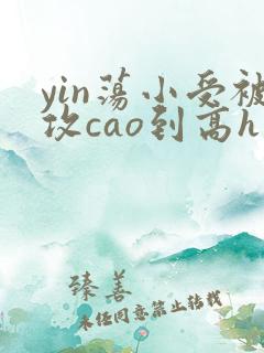 yin荡小受被攻cao到高h