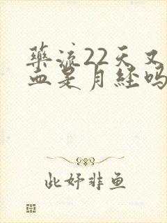 药流22天又出血是月经吗