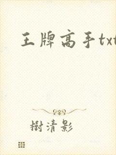 王牌高手txt