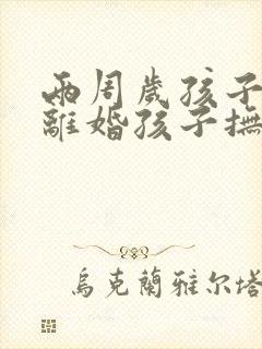 两周岁孩子父母离婚孩子抚养权归谁