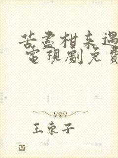 苦尽柑来遇见你 电视剧免费观看中文版