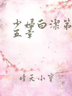 少妇白洁第二十五章