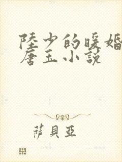 陆少的暖婚新妻唐玉小说