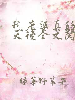 我老婆真的不是天后全文阅读全文