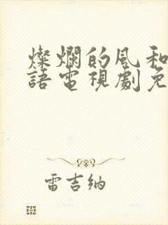 灿烂的风和海粤语电视剧免费观看完整版