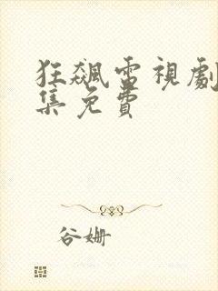 狂飙电视剧39集免费
