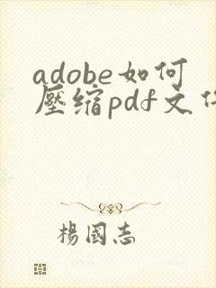 adobe如何压缩pdf文件大小在2m以内