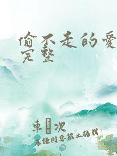 偷不走的爱与光完整