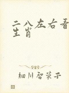 二八左右看猜个生肖