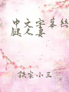中文字幕丝袜美腿人妻