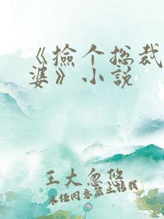 《捡个总裁做老婆》小说