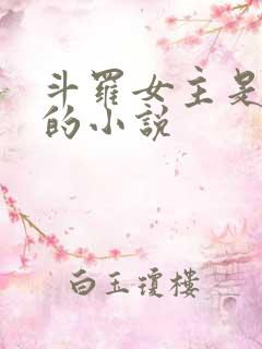 斗罗女主是宁天的小说
