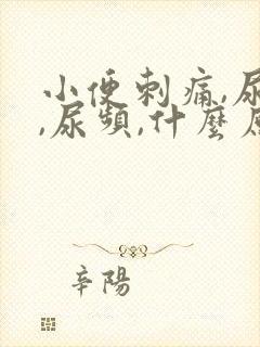小便刺痛,尿急,尿频,什么原因引起