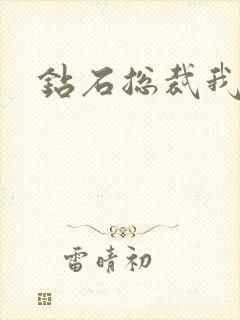 钻石总裁我已婚