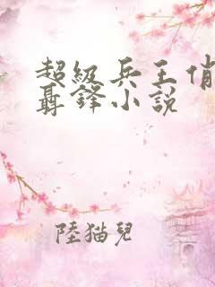 超级兵王俏总裁聂锋小说