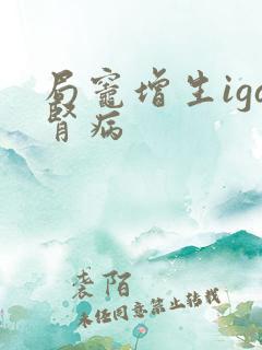 局灶增生iga肾病