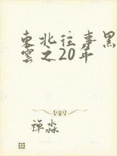 东北往事黑道风云之20年