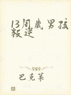 13周岁男孩子叛逆