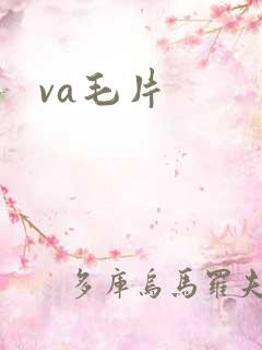 va毛片
