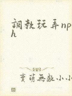 调教玩弄np高h