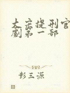大宋提刑官电视剧第一部