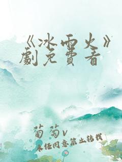《冰雨火》电视剧免费看