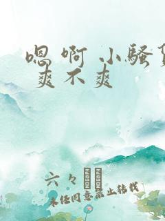 嗯 啊 小骚货 爽不爽