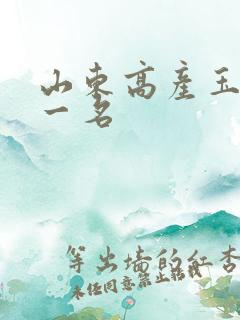 山东高产玉米第一名