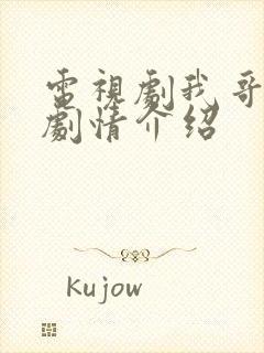 电视剧我哥我嫂剧情介绍