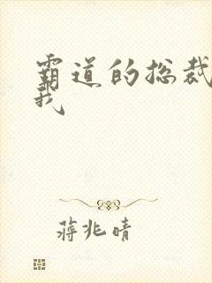 霸道的总裁爱上我