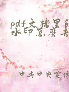 pdf文档里的水印怎么去除
